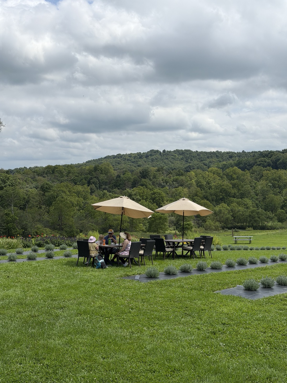 Products at the farm stand